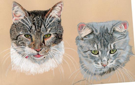portraits de chats.Pastel.2012